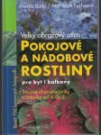 Pokojové a nádobové rostliny pro byt i balkony - náhled