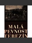 Malá pevnost Terezín (druhá světová válka, historie, nacionalismus, koncentrační tábor, antisemitismus) - náhled