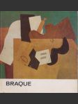 Braque - náhled