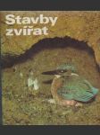 Stavby zvířat - náhled