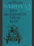 Léto na krásném bílém koni - náhled