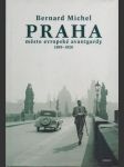 Praha město evropské avantgardy 1895-1928 - náhled