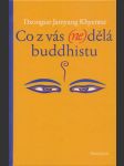 Co z vás (ne)dělá buddhistu - náhled