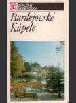 Bardejovské Kúpele - náhled