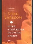 Dívka, která kopla do vosího hnízda. Milénium 3. - náhled