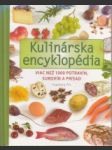 Kulinárska encyklopédia. Viac než 1000 potravín, surovín a prísad - náhled