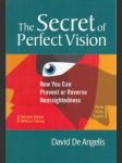 The Secret of perfect Vision - náhled