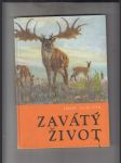 Zavátý život - náhled