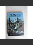 Prag. Historischer Reiseführer. Elf Jahrhunderte Architektur (Praha, historický průvodce, architektura, mj. Pražský hrad, Hradčany, Malá Strana, Staré Město, Nové Město, Karlín) - náhled