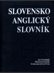 Slovensko-anglický slovník - náhled