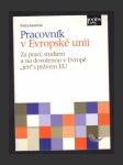 Pracovník v Evropské unii - náhled