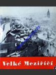 VELKÉ MEZIŘÍČÍ procházka jedním městem Vysočiny - KOTÍK Jaromír - náhled