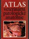 Atlas veterinární patologické anatomie - náhled