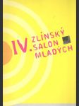 IV. Zlínský salon mladých - náhled