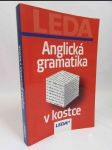 Anglická gramatika v kostce - náhled