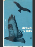 Dravci v letu - náhled