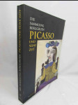 Picasso und seine Zeit: Die Sammlung Berggruen - náhled