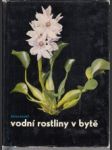 Vodní rostliny v bytě - náhled