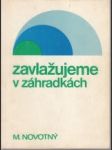 Zavlažujeme v záhradkách - náhled