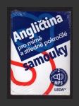 Angličtina pro mírně a středně pokročilé samouky + mp3 - náhled