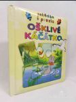 Pohádka s puzzle: Ošklivé kačátko - náhled