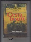 Cesta bouří - náhled