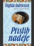 Příslib  naděje - náhled