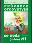 Průvodce otcovstvím aneb bez otce se nedá (dobře) žít - náhled