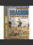 Operace Dragoon: Spojenecká invaze na jihu Francie - náhled