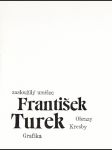 František Turek (Obrazy, kresby, grafika) - náhled