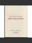 art in extreme situations: Jiří Sozanský, Brussels - October 1997 - náhled