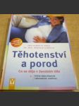 Těhotenství a porod. Co se děje v ženském těle - náhled