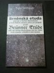 Brněnská etuda 1945, aneb, jak si Nathan Blumenbaum a Ferdi Huberů nakonec přece jen potykali = Brünner Etüde 1945, oder, Wie Nathan Blumenbaum und der Huber Ferdi einander schließlich doch dutzten - náhled