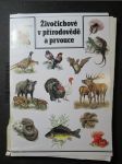 Živočichové v přírodovědě a prvouce - náhled