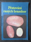 Pěstování raných brambor - náhled