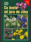 Co kvete od jara do zimy - náhled