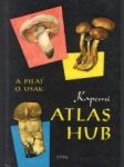 Kapesní atlas hub - náhled