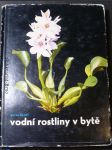 Vodní rostliny v bytě - náhled