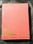 Děti v bouři revoluce : Literární obraz práce a bojů amerických Čechoslováků za svobodnou domovinu - náhled