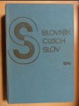 Slovník cizích slov - náhled