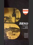 Brno, výstaviště, bitva u Slavkova - náhled