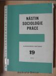 Nástin sociologie práce - náhled