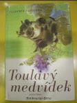 Toulavý medvídek - náhled