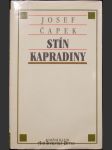 Stín kapradiny - náhled