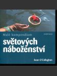 Malé kompendium světových náboženství [křesťanství, islám, buddhismus, hinduismus atd] - náhled