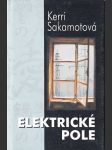 Elektrické pole - náhled