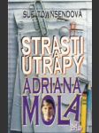 Strasti a útrapy 13 a 3/4 ročného Adriana Mola - náhled