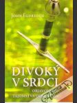 Divoký v srdci - Objavovanie tajomstva duše muža - náhled