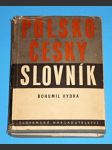 Polsko-český slovník - náhled