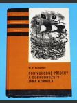 Podivuhodné příběhy a dobrodružství Jana Kornela - náhled